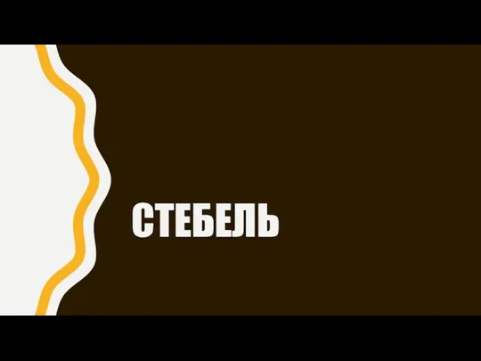 СТЕБЕЛЬ