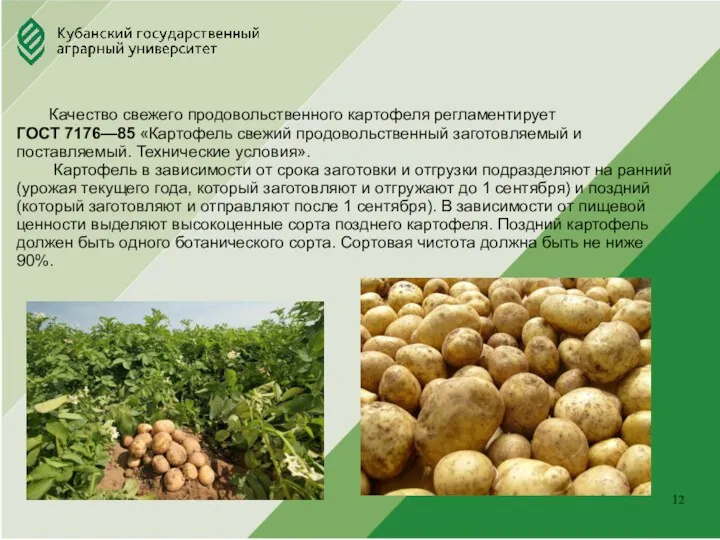 Юридический факультет . Качество свежего продовольственного картофеля регламентирует ГОСТ 7176—85