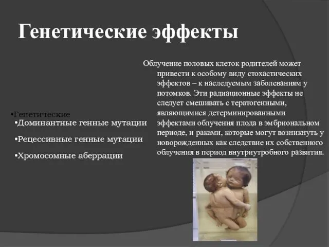 Генетические эффекты Облучение половых клеток родителей может привести к особому