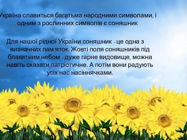 Україна славиться багатьма народними символами, і одним з рослинних символів є соняшник Для