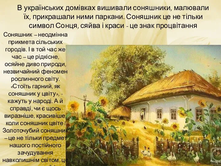 В українських домівках вишивали соняшники, малювали їх, прикрашали ними паркани. Соняшник це не
