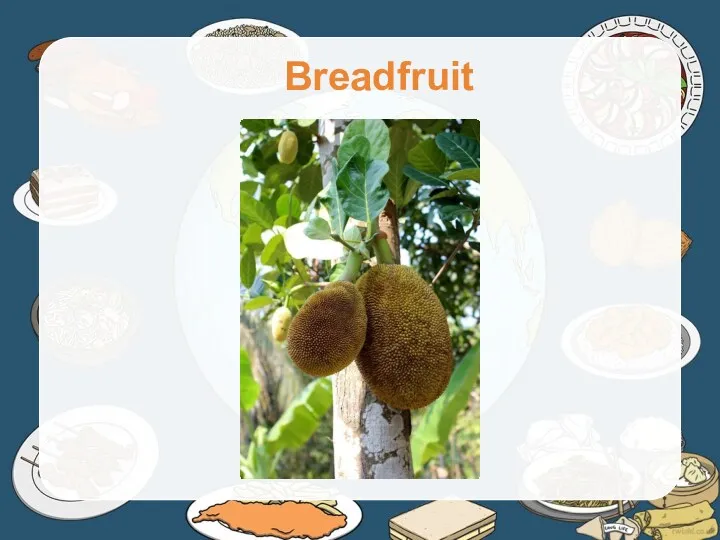 Breadfruit