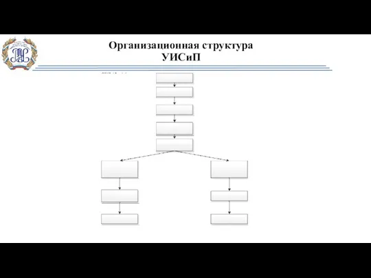 Организационная структура УИСиП