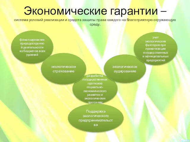 Экономические гарантии – система условий реализации и средств защиты права каждого на благоприятную