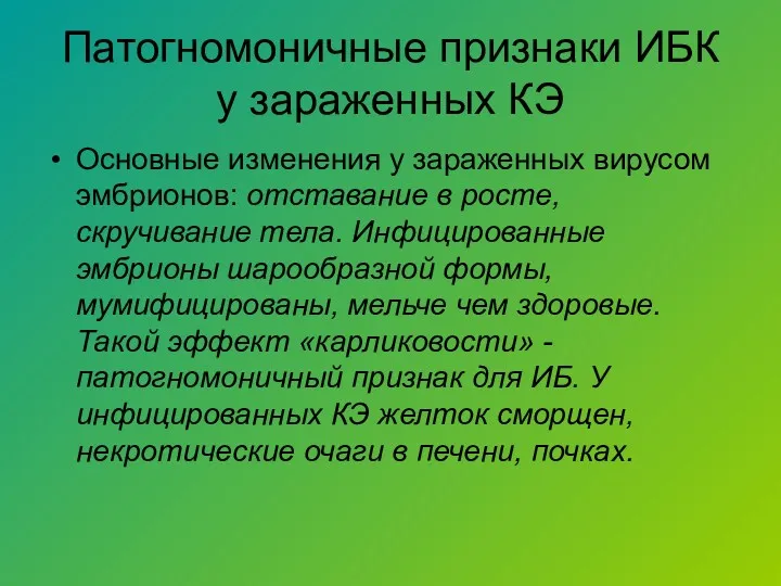 Патогномоничные признаки ИБК у зараженных КЭ Основные изменения у зараженных