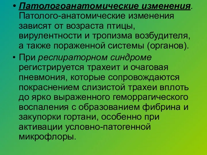 Патологоанатомические изменения. Патолого-анатомические изменения зависят от возраста птицы, вирулентности и