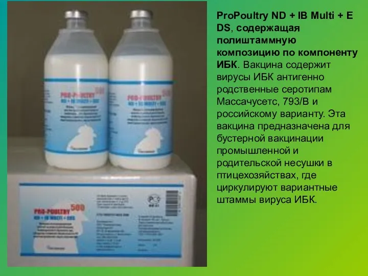 ProPoultry ND + IB Multi + EDS, содержащая полиштаммную композицию