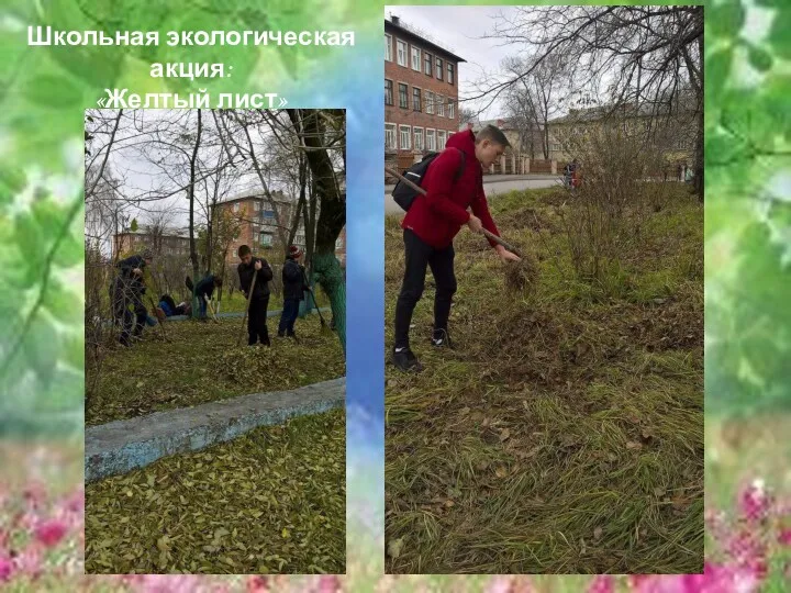 Школьная экологическая акция: «Желтый лист»