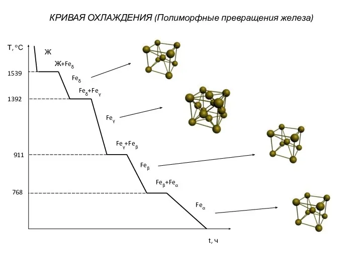 КРИВАЯ ОХЛАЖДЕНИЯ (Полиморфные превращения железа) Т, оС 1539 1392 911