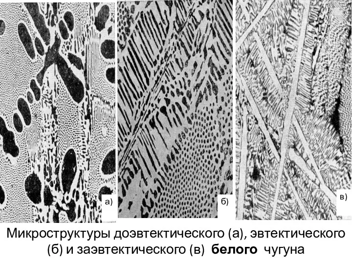 Микроструктуры доэвтектического (а), эвтектического (б) и заэвтектического (в) белого чугуна