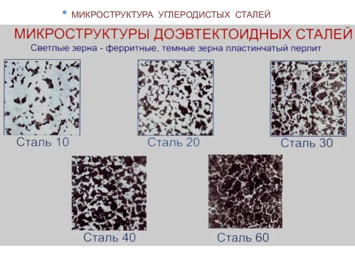 МИКРОСТРУКТУРА УГЛЕРОДИСТЫХ СТАЛЕЙ