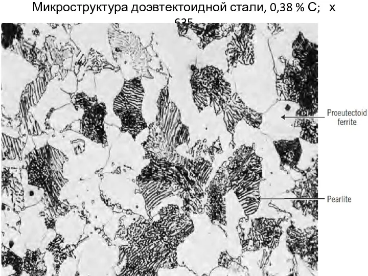 Микроструктура доэвтектоидной стали, 0,38 % С; х 635