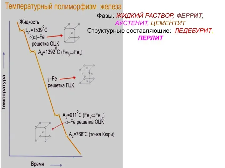 Фазы: ЖИДКИЙ РАСТВОР, ФЕРРИТ, АУСТЕНИТ, ЦЕМЕНТИТ Структурные составляющие: ЛЕДЕБУРИТ, ПЕРЛИТ