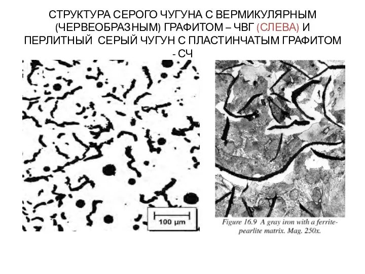 СТРУКТУРА СЕРОГО ЧУГУНА С ВЕРМИКУЛЯРНЫМ (ЧЕРВЕОБРАЗНЫМ) ГРАФИТОМ – ЧВГ (СЛЕВА)