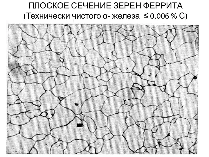 ПЛОСКОЕ СЕЧЕНИЕ ЗЕРЕН ФЕРРИТА (Технически чистого α- железа ≤ 0,006 % С)