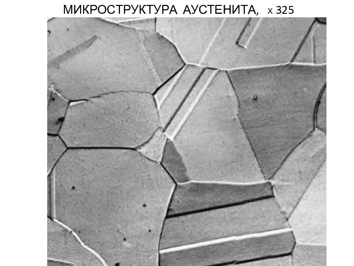 МИКРОСТРУКТУРА АУСТЕНИТА, Х 325