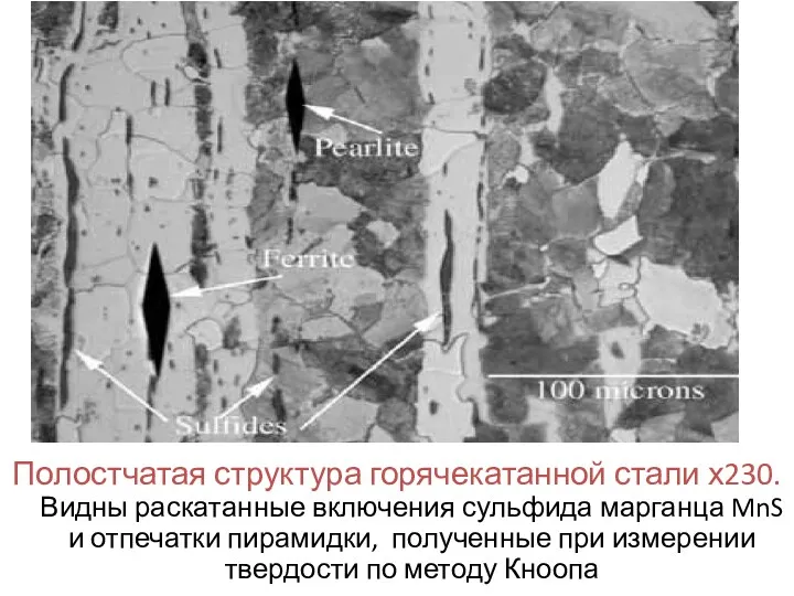 Полостчатая структура горячекатанной стали х230. Видны раскатанные включения сульфида марганца