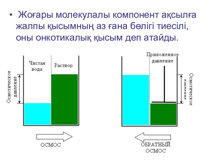 Жоғары молекулалы компонент ақсылға жалпы қысымның аз ғана бөлігі тиесілі, оны онкотикалық қысым деп атайды.