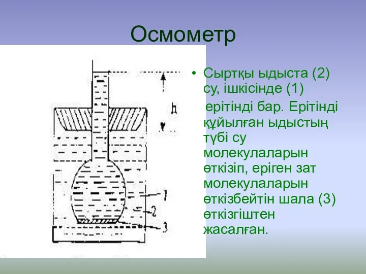 Осмометр Сыртқы ыдыста (2) су, ішкісінде (1) ерітінді бар. Ерітінді