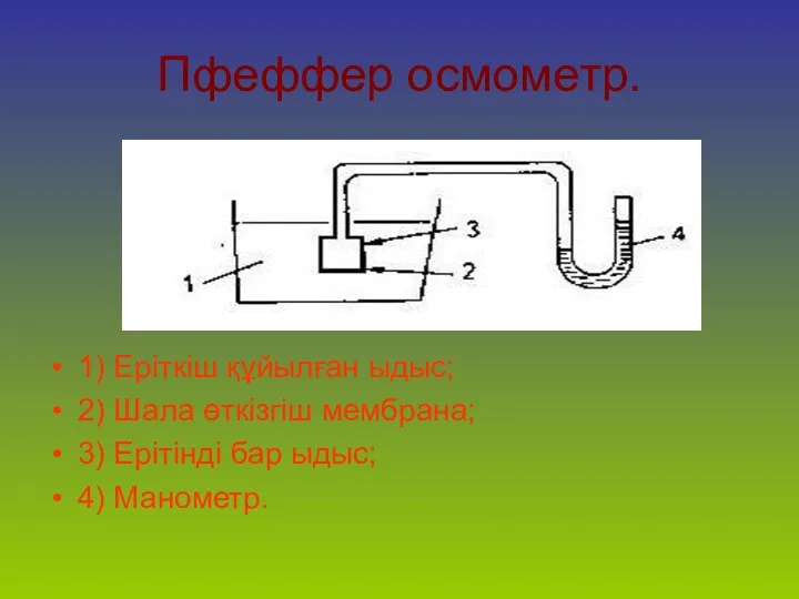 Пфеффер осмометр. 1) Еріткіш құйылған ыдыс; 2) Шала өткізгіш мембрана; 3) Ерітінді бар ыдыс; 4) Манометр.