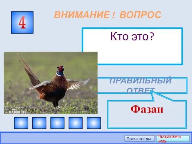 ВНИМАНИЕ ! ВОПРОС Кто это? 4 ПРАВИЛЬНЫЙ ОТВЕТ Фазан Правила игры Продолжить игру