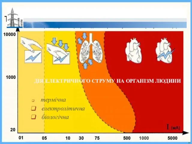 ДІЯ ЕЛЕКТРИЧНОГО СТРУМУ НА ОРГАНІЗМ ЛЮДИНИ термічна електролітична біологічна