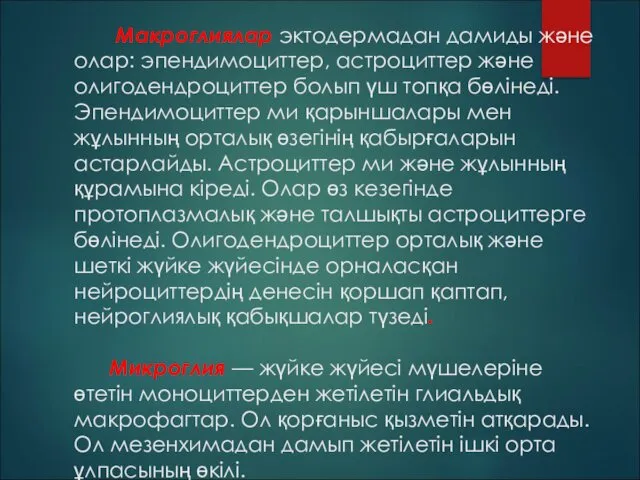 Макроглиялар эктодермадан дамиды және олар: эпендимоциттер, астроциттер және олигодендроциттер болып