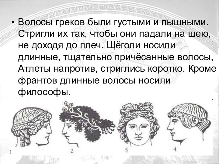 Волосы греков были густыми и пышными. Стригли их так, чтобы