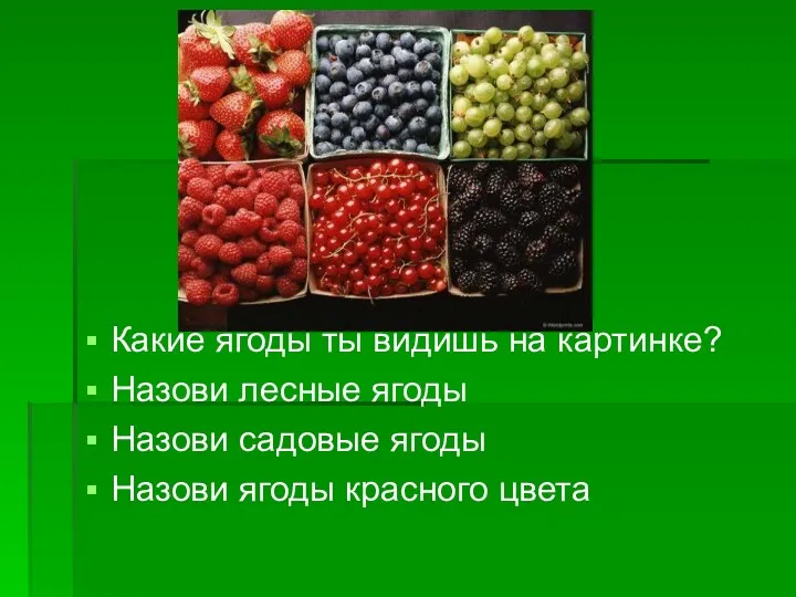 Какие ягоды ты видишь на картинке? Назови лесные ягоды Назови садовые ягоды Назови ягоды красного цвета