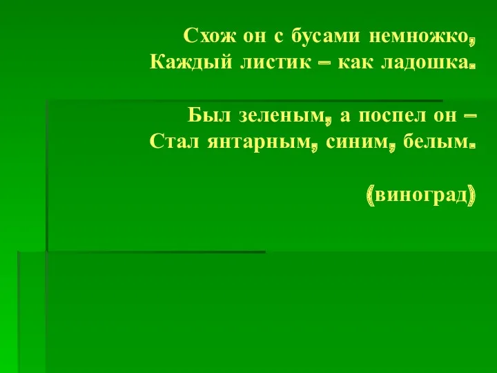 Схож он с бусами немножко, Каждый листик – как ладошка.