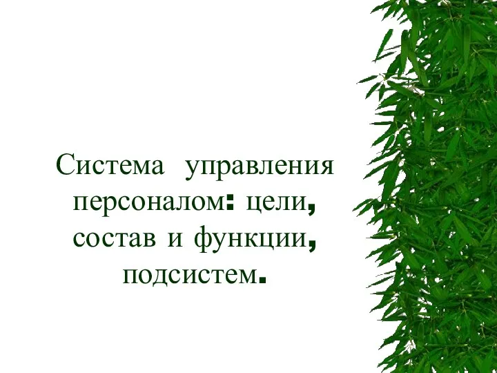 Система управления персоналом: цели, состав и функции, подсистем.