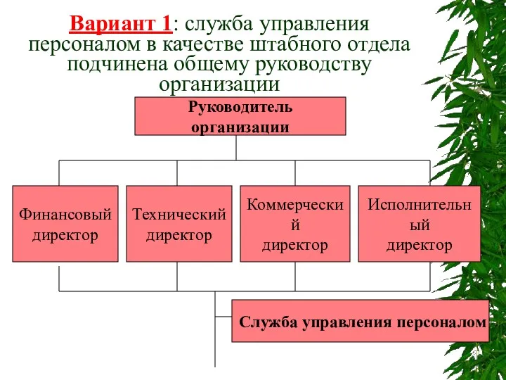 Вариант 1: служба управления персоналом в качестве штабного отдела подчинена