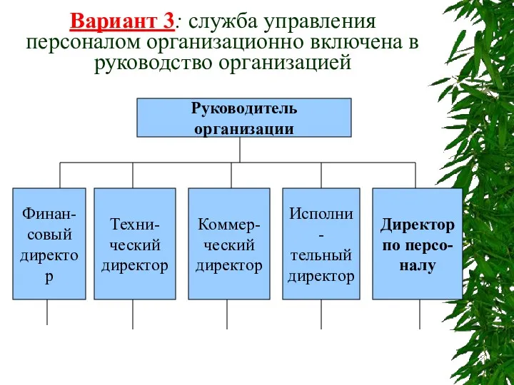 Вариант 3: служба управления персоналом организационно включена в руководство организацией