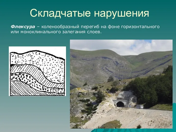 Складчатые нарушения Флексура – коленообразный перегиб на фоне горизонтального или моноклинального залегания слоев.