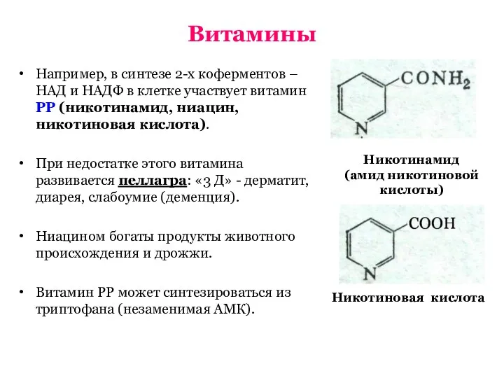 Витамины Например, в синтезе 2-х коферментов – НАД и НАДФ