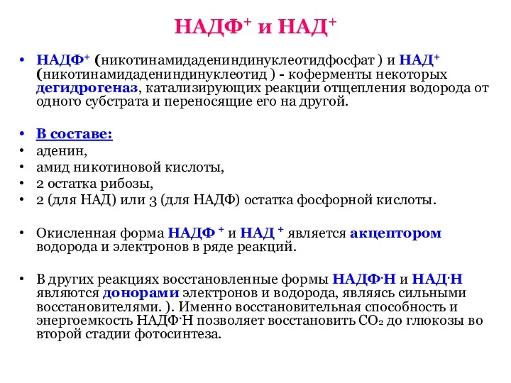 НАДФ+ и НАД+ НАДФ+ (никотинамидадениндинуклеотидфосфат ) и НАД+ (никотинамидадениндинуклеотид )