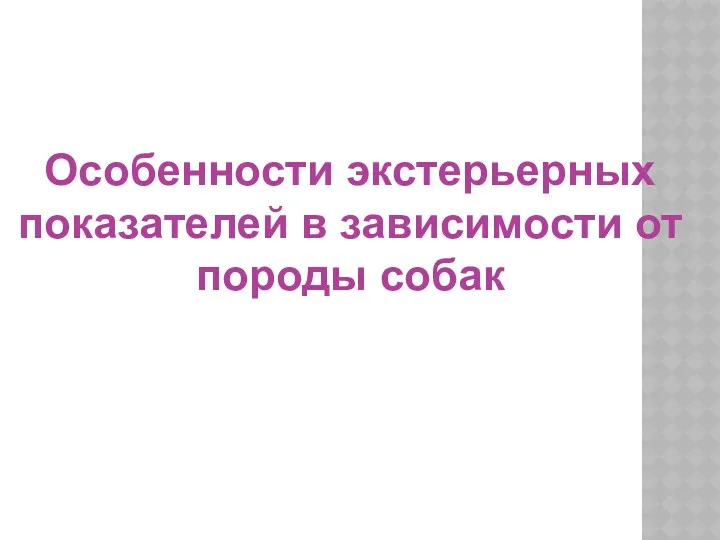 Особенности экстерьерных показателей в зависимости от породы собак