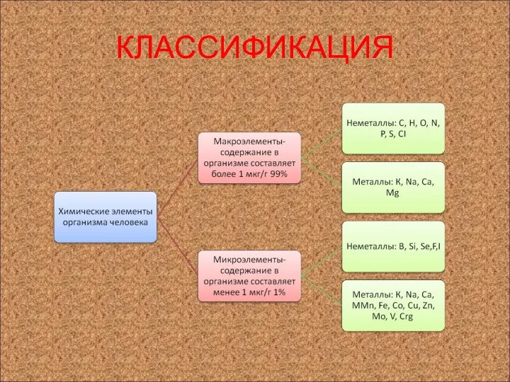 КЛАССИФИКАЦИЯ