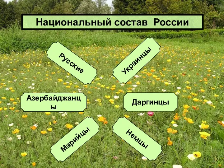 Русские Марийцы Азербайджанцы Даргинцы Украинцы Немцы Национальный состав России