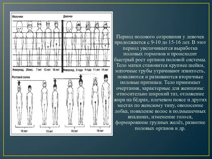 Период полового созревания у девочек продолжается с 9-10 до 15-16