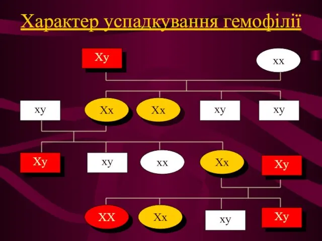 Характер успадкування гемофілії