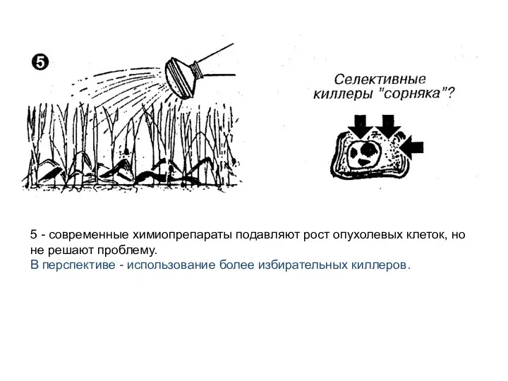 5 - современные химиопрепараты подавляют рост опухолевых клеток, но не