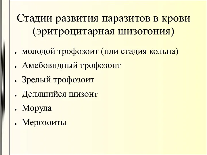 Стадии развития паразитов в крови (эритроцитарная шизогония)‏ молодой трофозоит (или