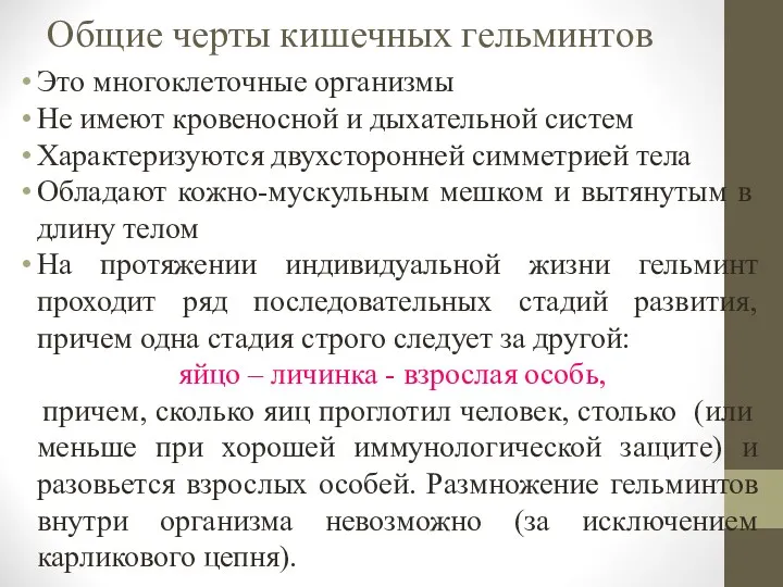 Общие черты кишечных гельминтов Это многоклеточные организмы Не имеют кровеносной