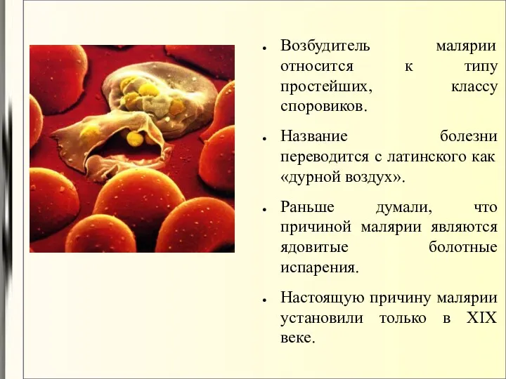 Возбудитель малярии относится к типу простейших, классу споровиков. Название болезни