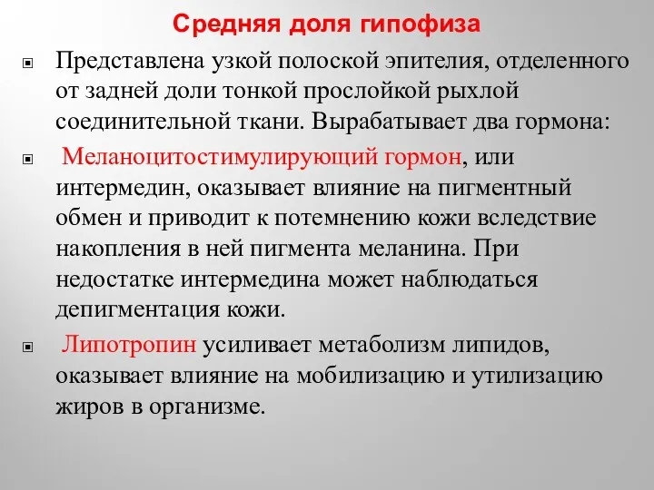 Средняя доля гипофиза Представлена узкой полоской эпителия, отделенного от задней