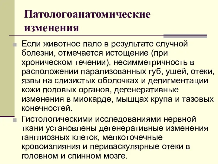 Патологоанатомические изменения Если животное пало в результате случной болезни, отмечается