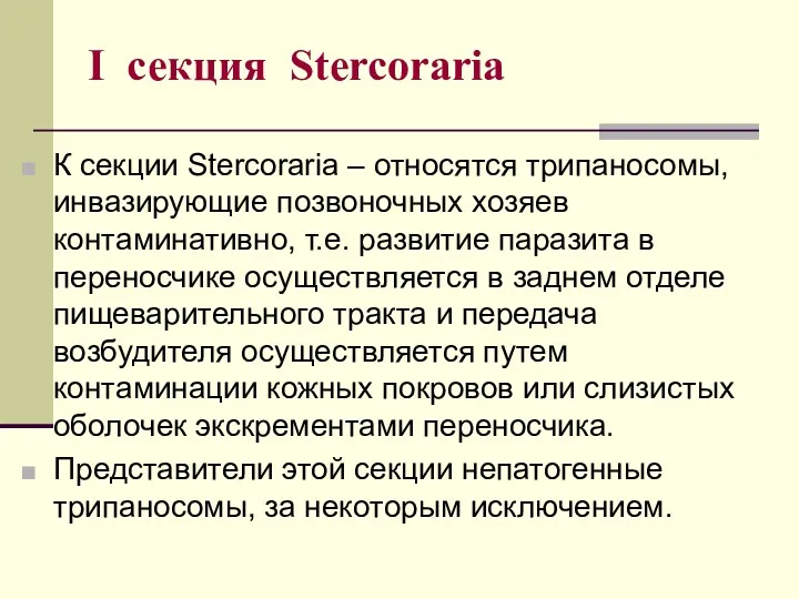 I секция Stercoraria К секции Stercoraria – относятся трипаносомы, инвазирующие