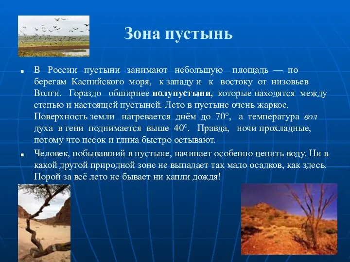 Зона пустынь В России пустыни занимают небольшую площадь — по берегам Каспийского моря,