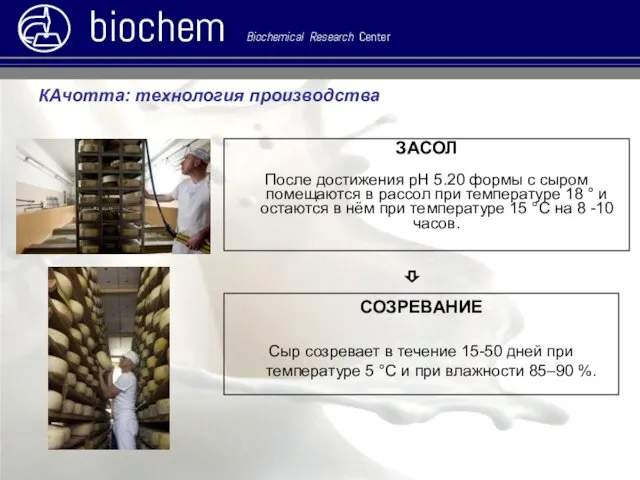 КАчотта: технология производства biochem Biochemical Research Center СОЗРЕВАНИЕ Сыр созревает в течение 15-50